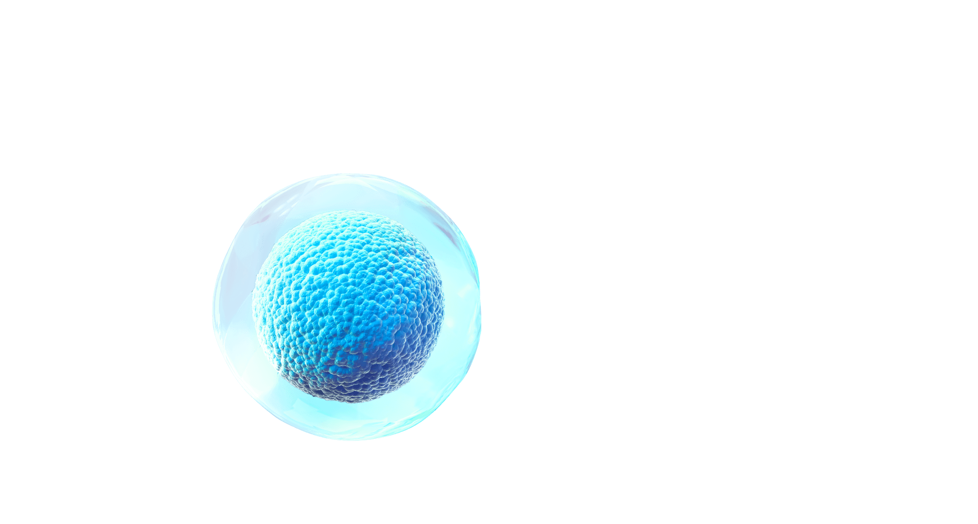 preclinical-testing-6 preclinical-testing-6