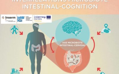 ENTEROSYS participates in the European project ThinkGut