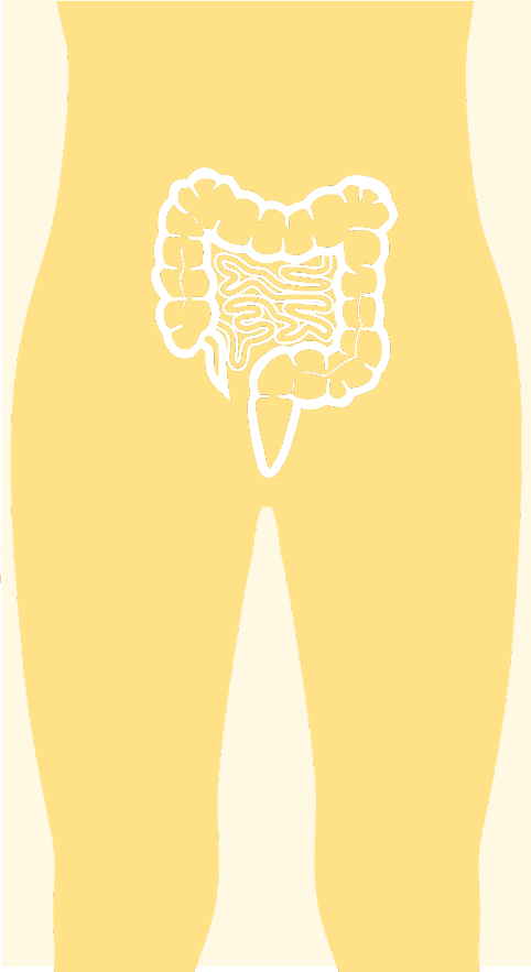 gastrointestinal diseases