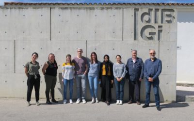 Enterosys participates in the closing meeting of the Thinkgut project