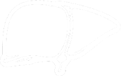Click on the liver axis Click on the liver axis
