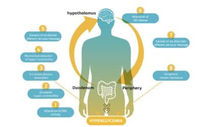 Enteric neurons and glycemia control