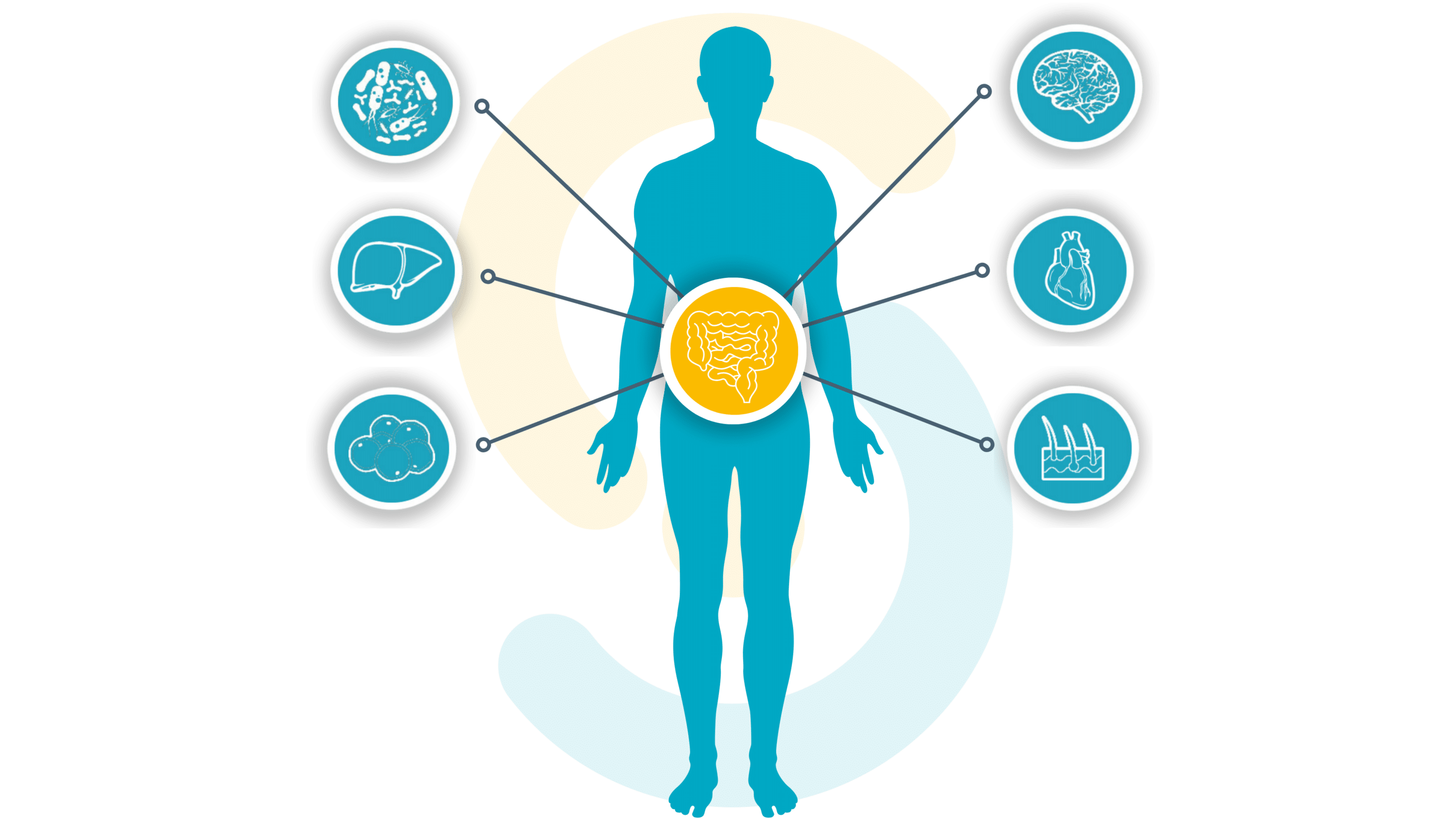 preclinical-testing-gut-axis