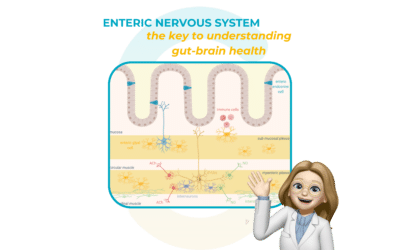 Enteric nervous system: the key to understanding gut-brain health