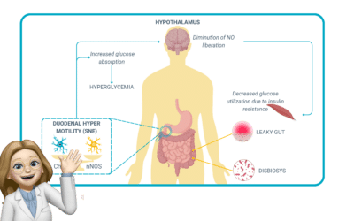 Gut motility: the hidden role of the enteric nervous system