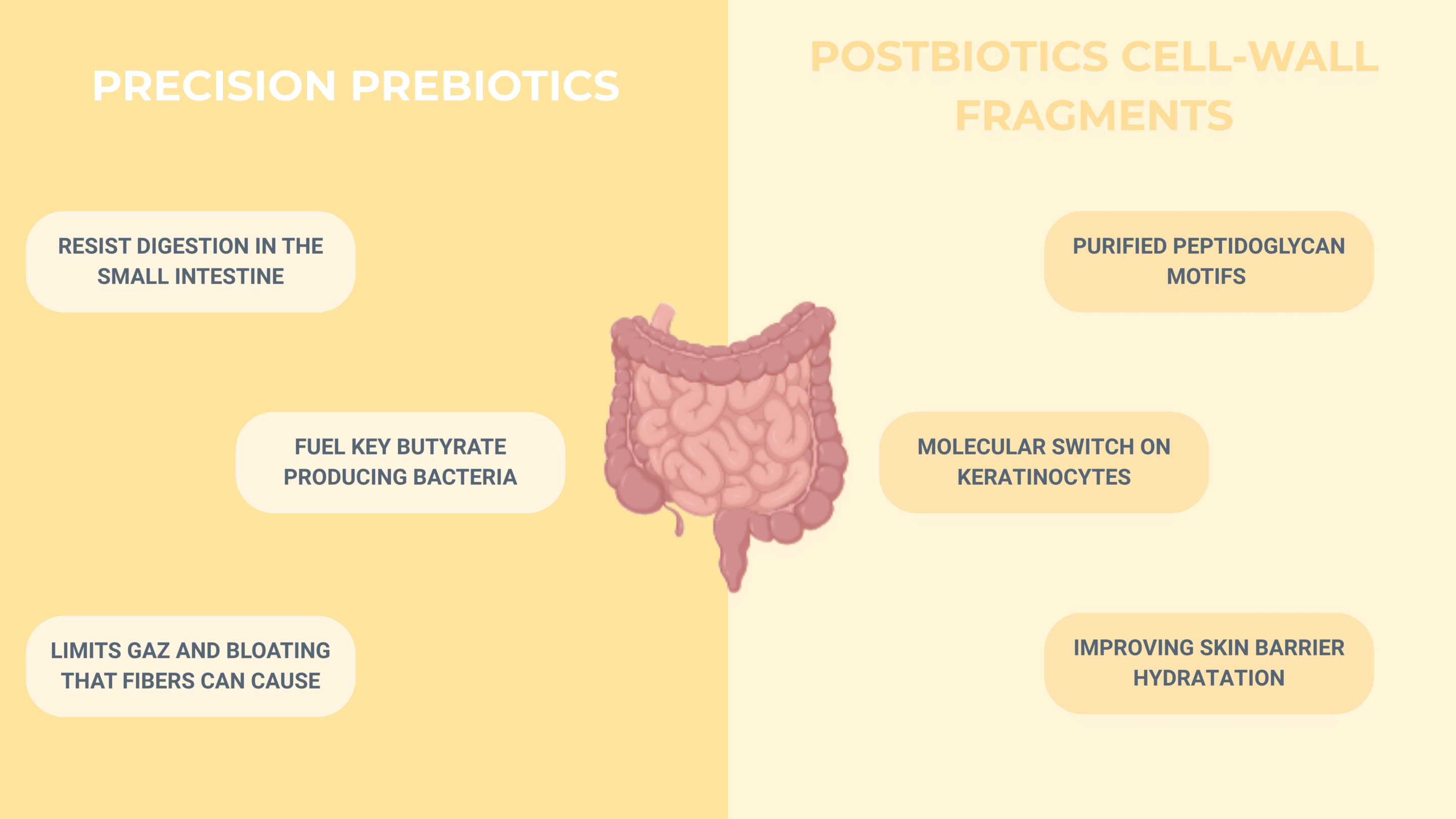 gut-skin-axis-new-targets