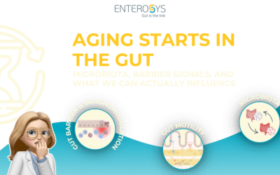 Aging impairs the gut: microbiota, barrier signals and systemic alterations